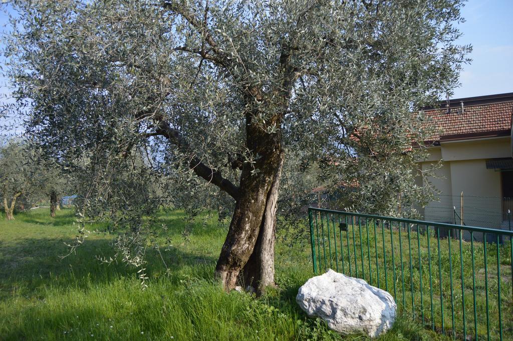 טוסקולנו מדרנו La Casetta מראה חיצוני תמונה
